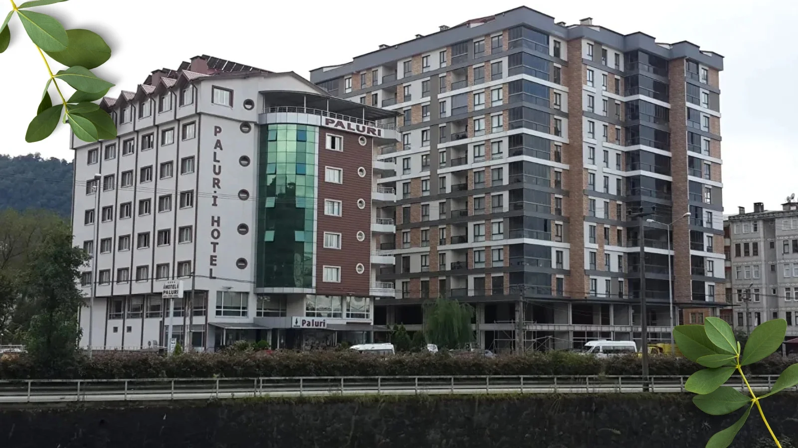 Hopa’nın Kalbinde, Paluri’nin Sıcaklığında!